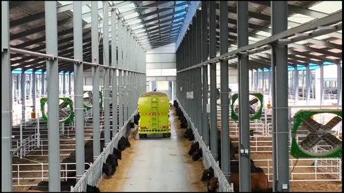 听音乐,做按摩,走上牛生巅峰